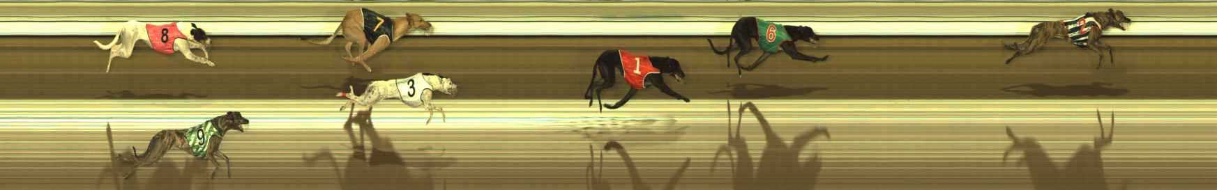 Race result finish photo